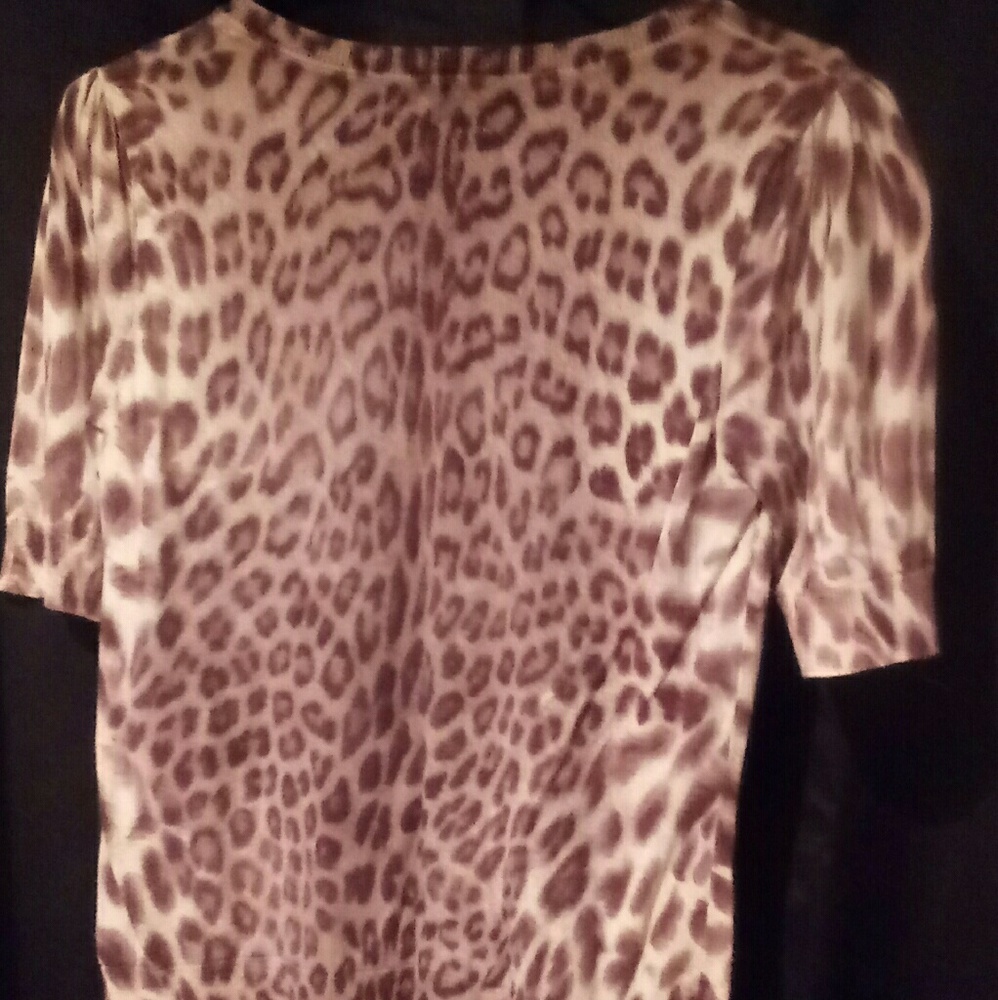 Talbots Petites Blouse